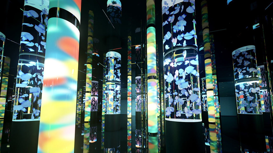 jellyfish displayed with digital art
